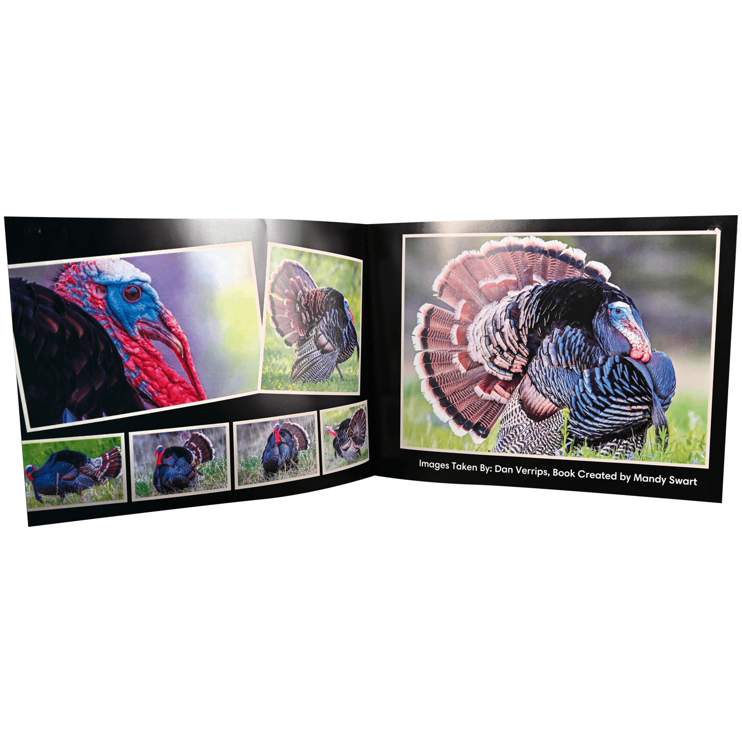 Turkey Reference Books - Images by Dan Verrips - Matuska Taxidermy Supply Company