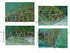 Underwater Bass Reference Photos - Digital Download - Matuska Taxidermy Supply Company