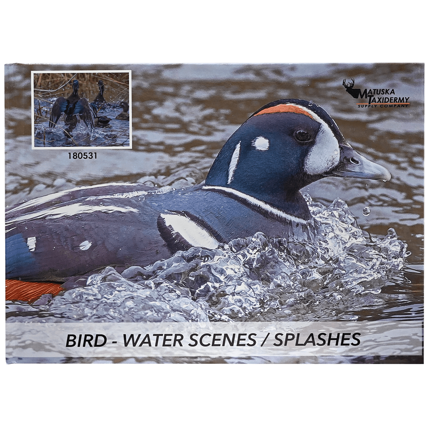Water Scenes / Splashes Bird Reference Photo Book - Matuska Taxidermy Supply Company