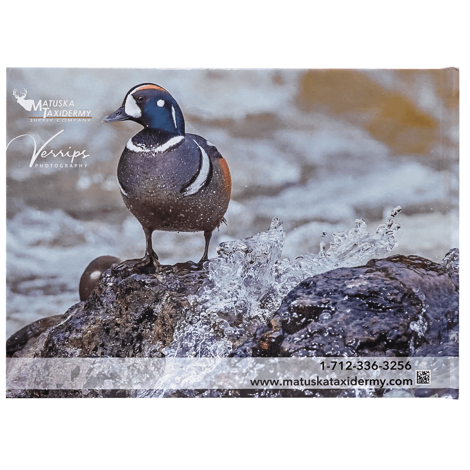 Water Scenes / Splashes Bird Reference Photo Book - Matuska Taxidermy Supply Company