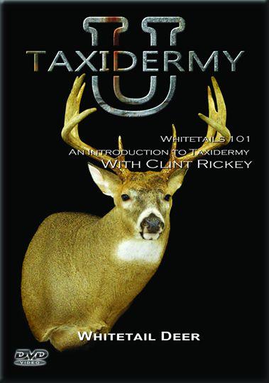 Whitetails 101 - An Introduction to Taxidermy with Clint Rickey DVD by Taxidermy University - Matuska Taxidermy Supply Company