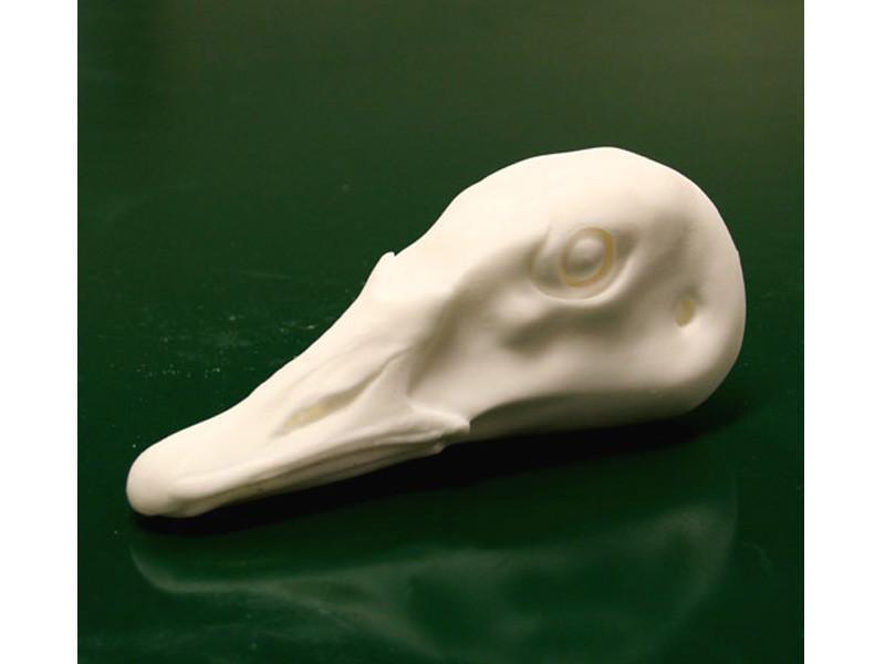 Wildlife Illusions Bird Heads without Eyes - Goose - Matuska Taxidermy Supply Company