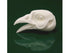 Wildlife Illusions Bird Heads without Eyes - Upland Game - Matuska Taxidermy Supply Company